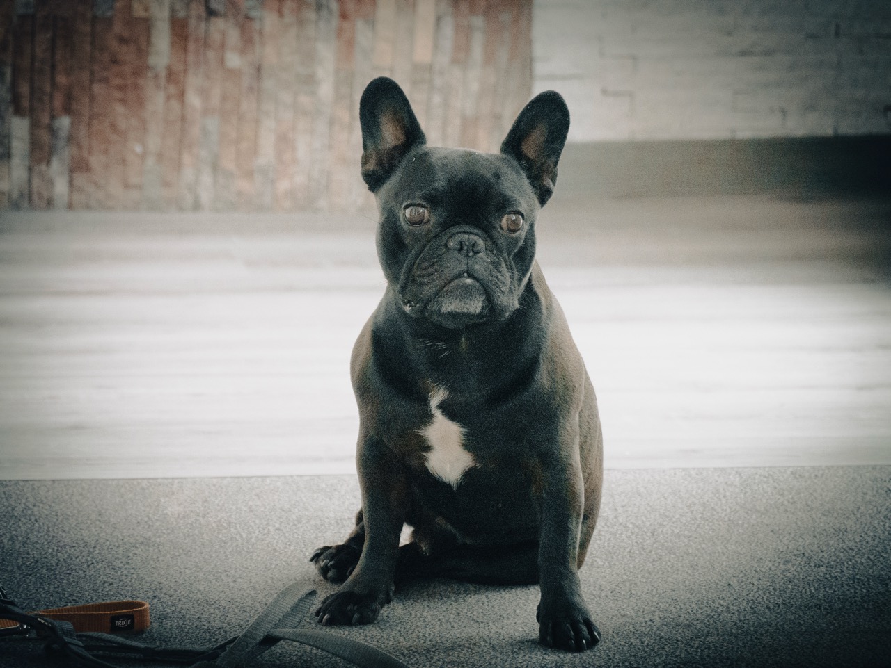 Cardio-Gym_Rheinbrohl_1